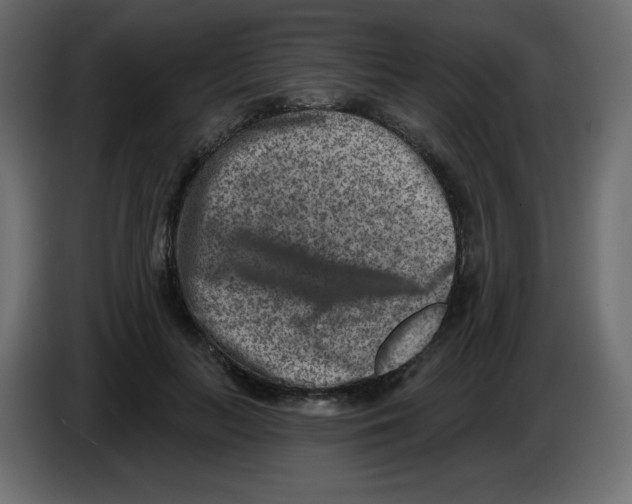 X0000084600647200703231928