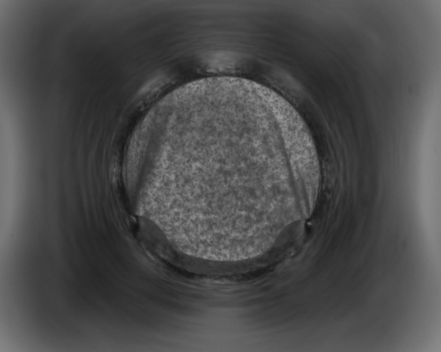 X0000084600648200703231928