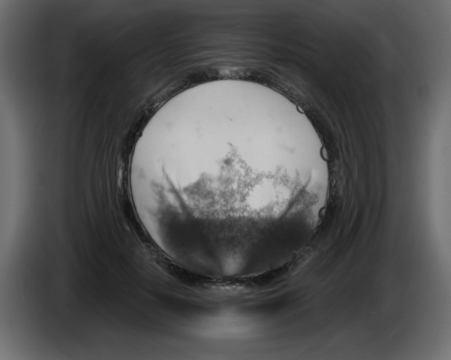 X0000084600650200703231928