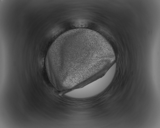 X0000084600652200703231928