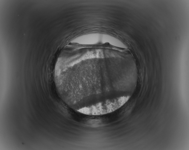 X0000084600653200703231928