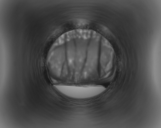 X0000084600654200703231928