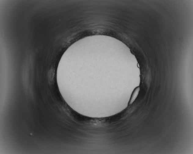 X0000084600660200703231928