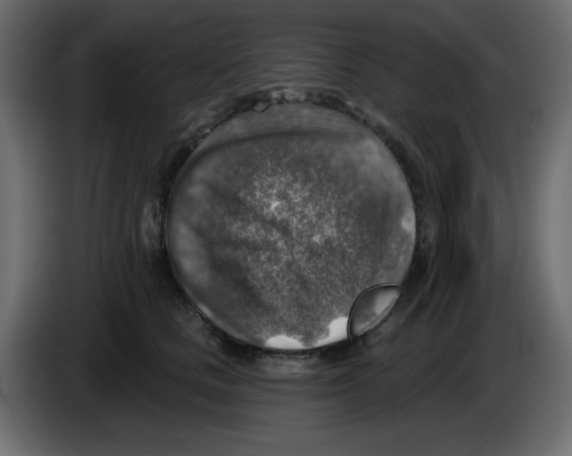 X0000084600661200703231928