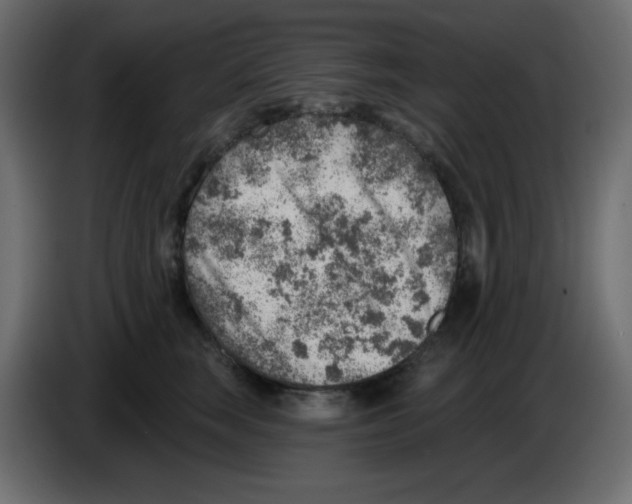 X0000084600663200703231928