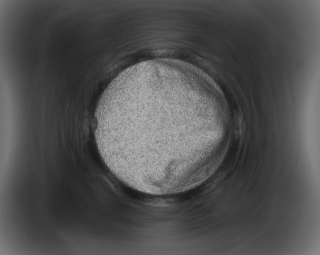 X0000084600664200703231928