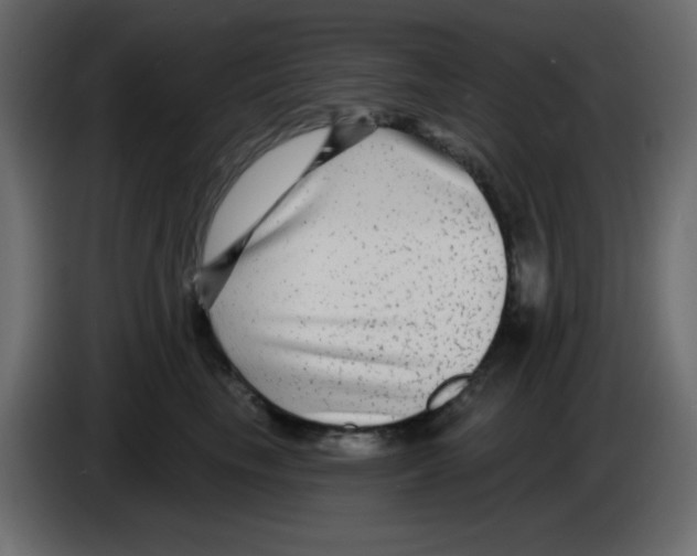 X0000084600665200703231928