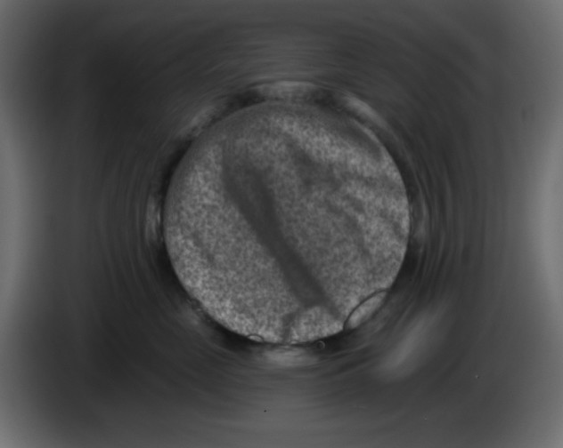 X0000084600669200703231928