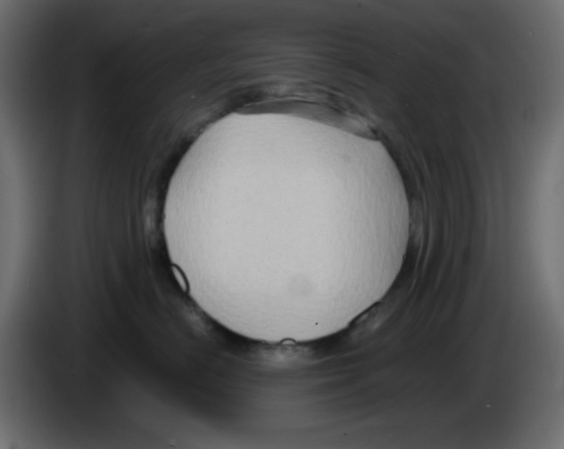 X0000084600670200703231928