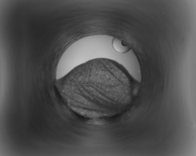 X0000084600672200703231928