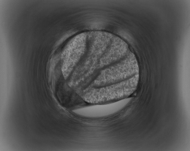 X0000084600673200703231927