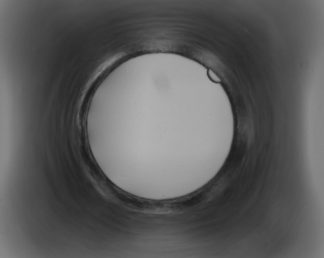 X0000084600674200703231927