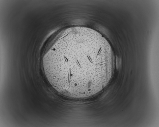X0000084600675200703231927