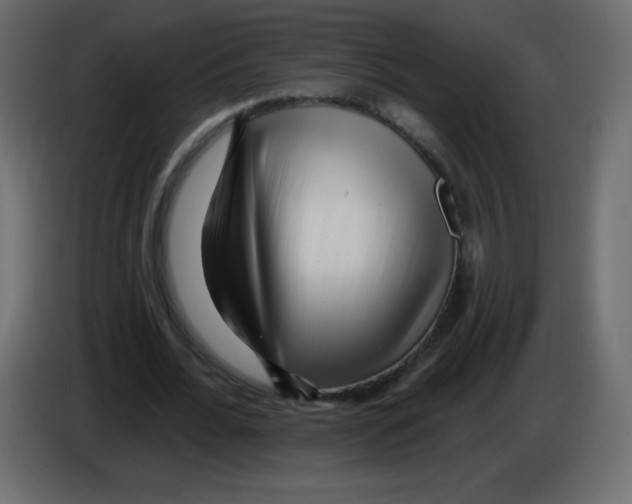 X0000084600676200703231927