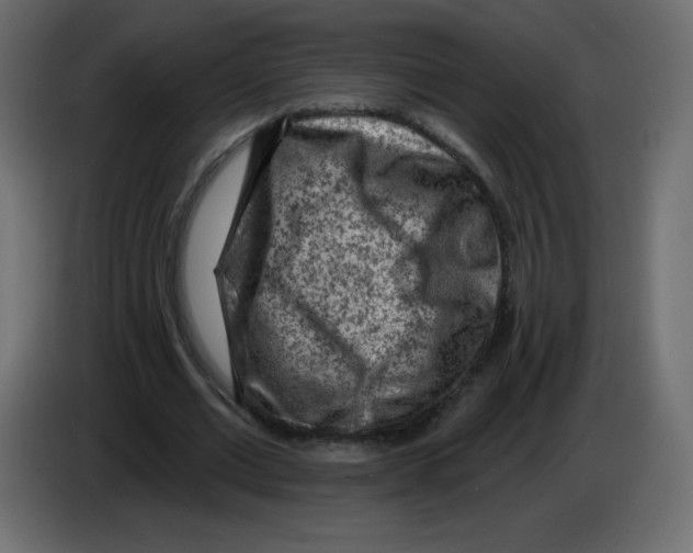 X0000084600677200703231927