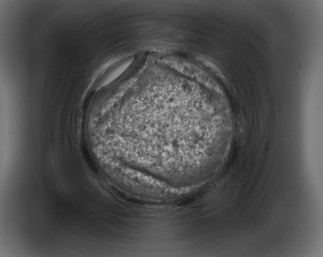 X0000084600679200703231927