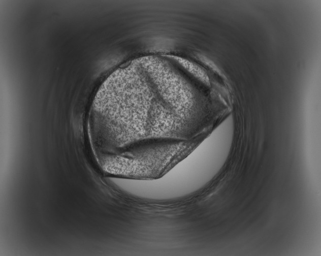 X0000084600681200703231927