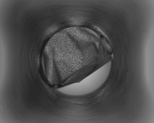 X0000084600685200703231927