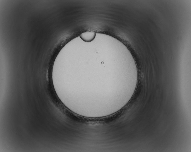 X0000084600686200703231927