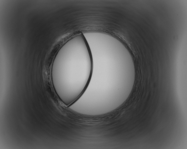 X0000084600688200703231927