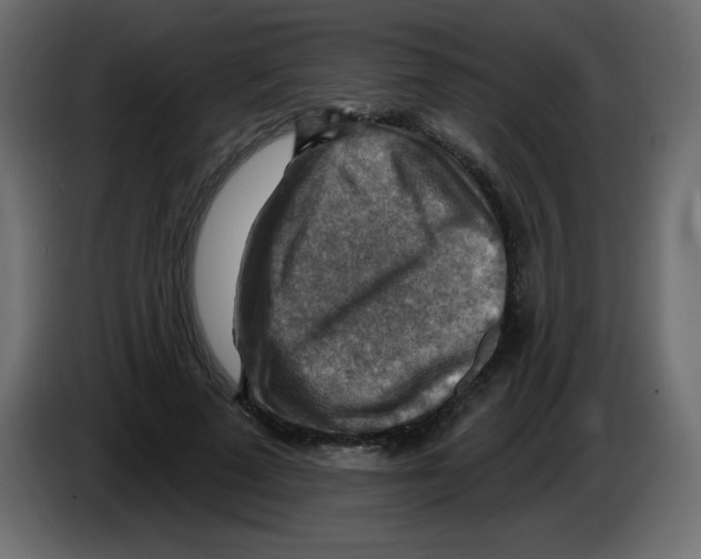 X0000084600689200703231927