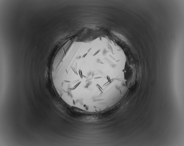 X0000084600692200703231927