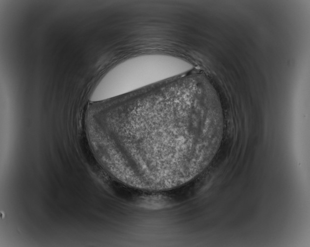 X0000084600695200703231927