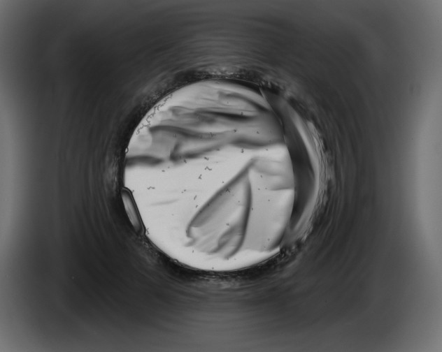 X0000084600697200703231927