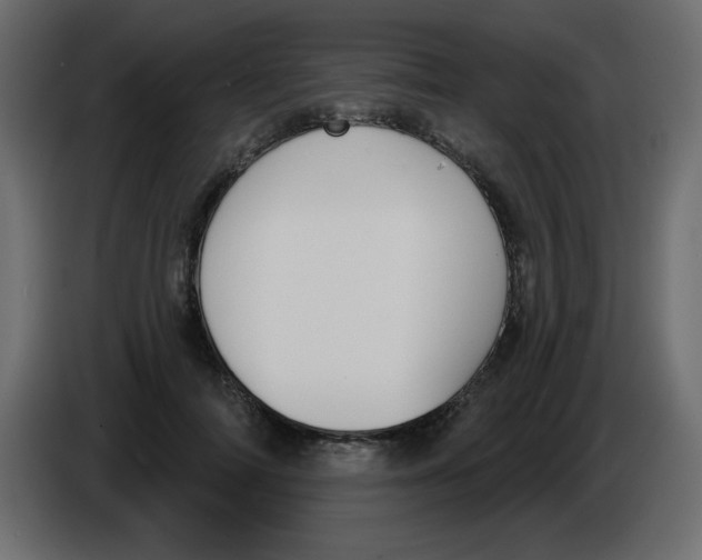 X0000084600698200703231927