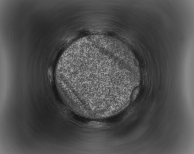 X0000084600699200703231927