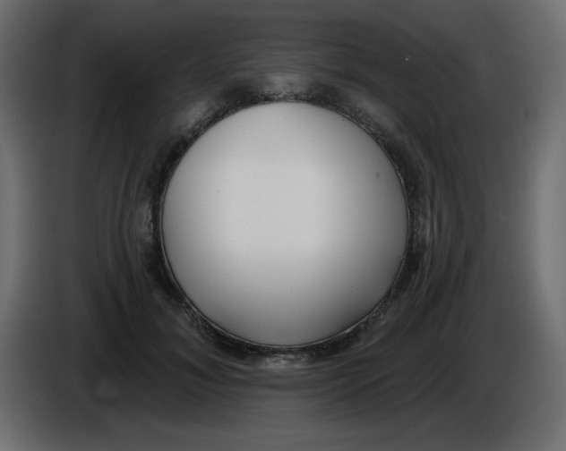 X0000084600700200703231927