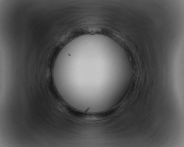 X0000084600704200703231927