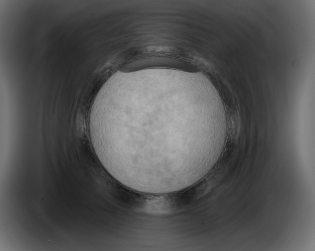 X0000084600705200703231927