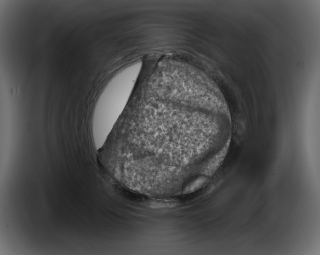 X0000084600707200703231927