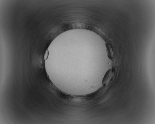 X0000084600709200703231927