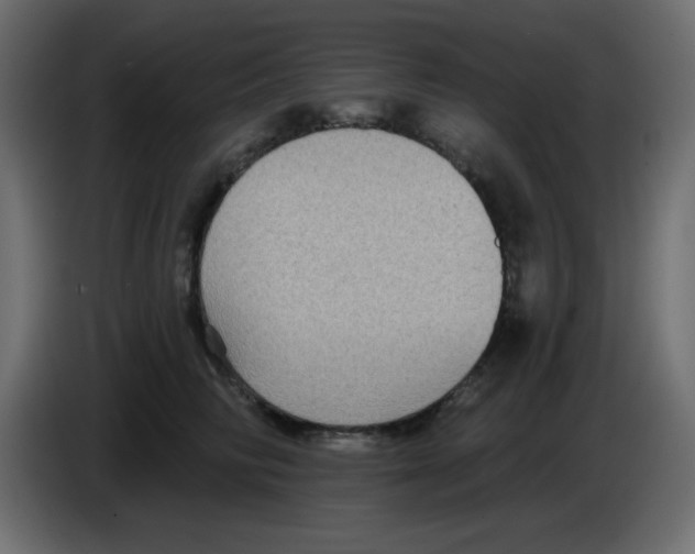 X0000084600710200703231927