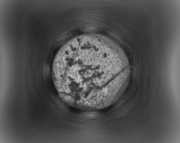 X0000084600711200703231927