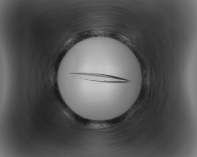 X0000084600712200703231927