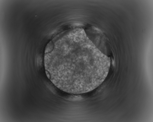 X0000084600715200703231927