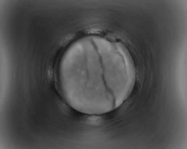 X0000084600718200703231927