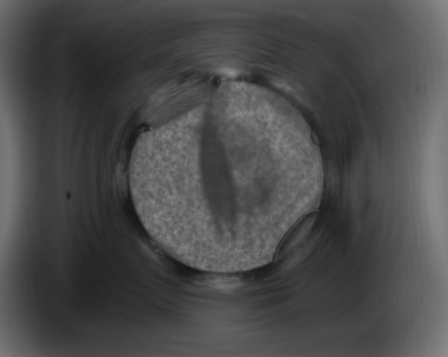 X0000084600719200703231927