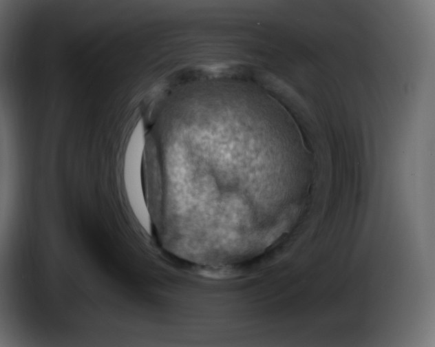 X0000084600720200703231927