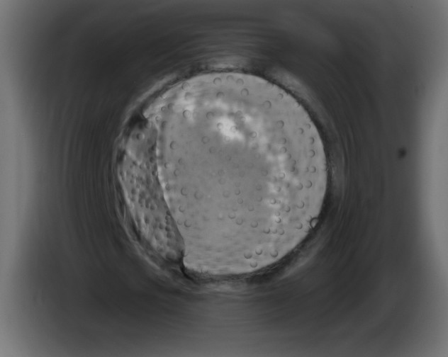 X0000084600721200703231926