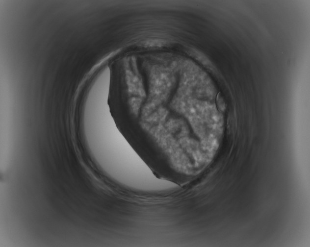 X0000084600722200703231926