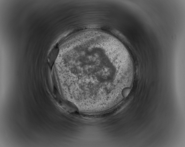 X0000084600725200703231926