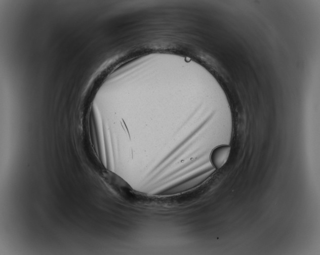 X0000084600727200703231926