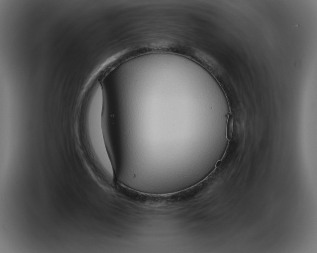 X0000084600728200703231926