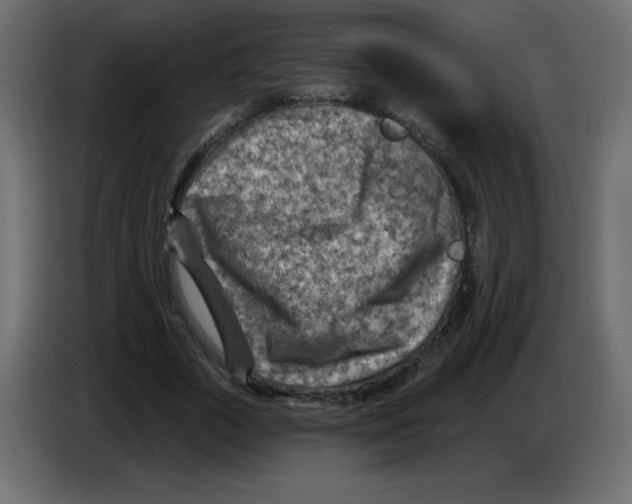 X0000084600729200703231926