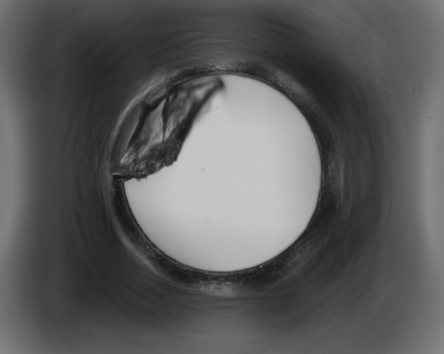 X0000084600730200703231926