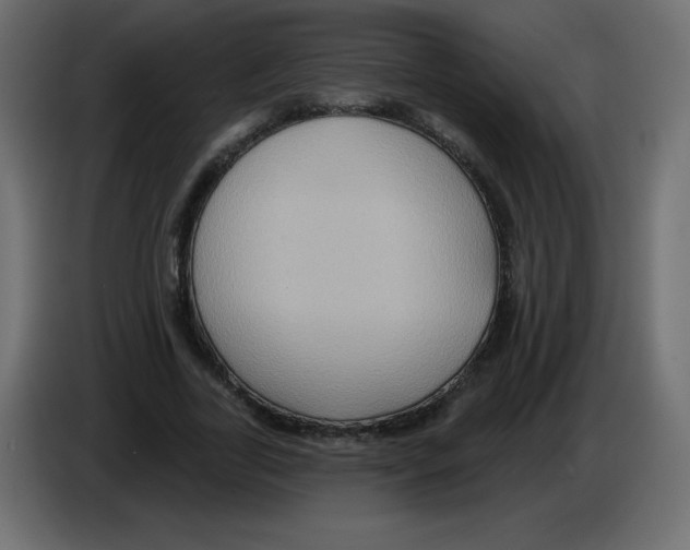 X0000084600731200703231926